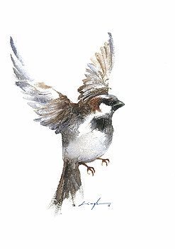 247x350 Flying Sparrow Watercolor By Nitin Singh Nature Journal