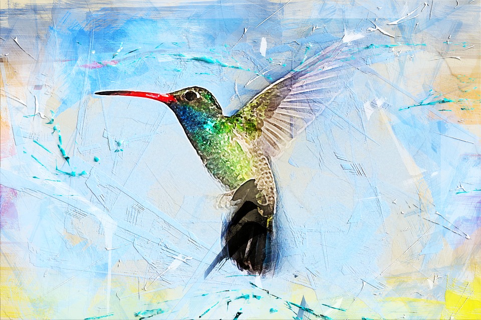 960x640 Free Photo Art Abstract Bird Hummingbird Animal Watercolor