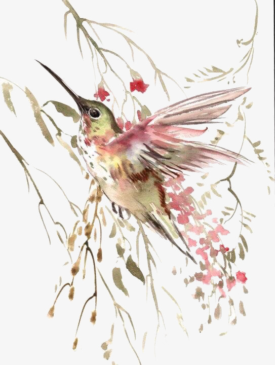 543x720 Watercolor Painted Birds Flying, Birds, Fly, Watercolor Png And