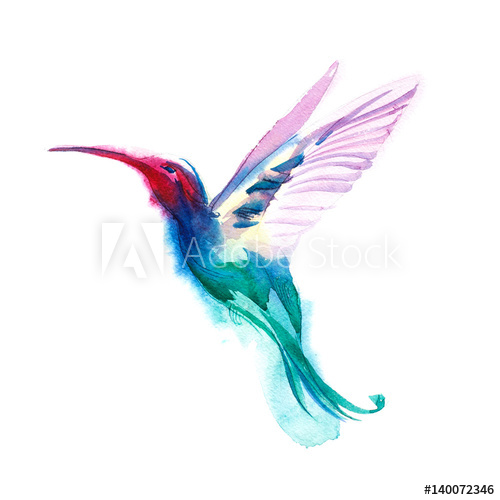 500x500 Watercolor Blue Humming Bird Flying And Isolated On White