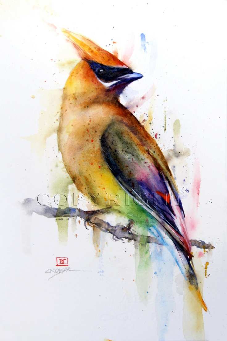 736x1104 Birds Painting Watercolor Unique Cedar Waxwing Watercolor Bird