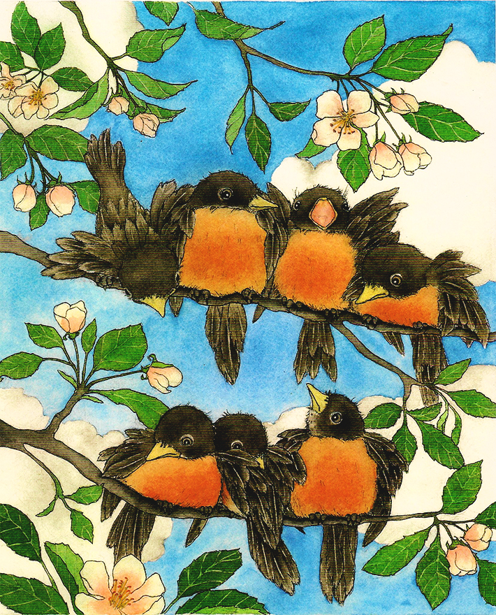 710x880 How To Paint A Bird 3 Step Tutorial