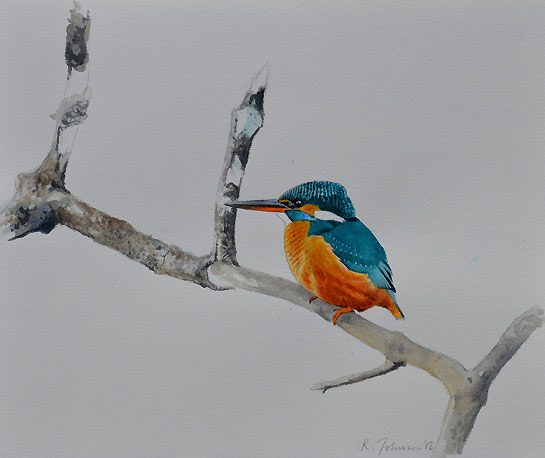 545x458 Watercolor Paintings Of Birds By Famous Artists