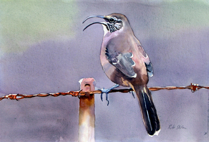 425x289 Watercolor Paintings Of Birds By Rita Sklar