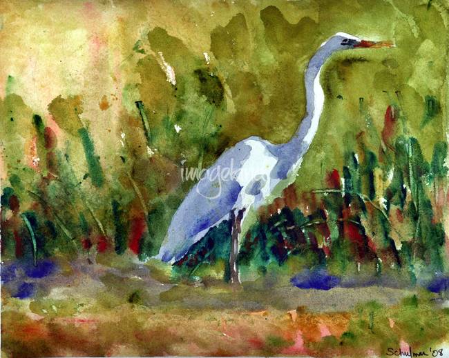 650x519 Stunning Watercolor Bird Paintings Artwork For Sale On Fine Art