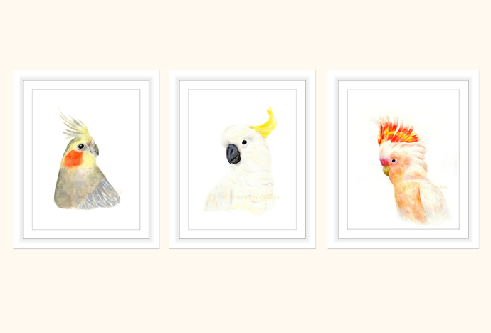 690x468 Australian Parrot Set Of 3 Prints, By Breezy Bird Goodies On Zibbet