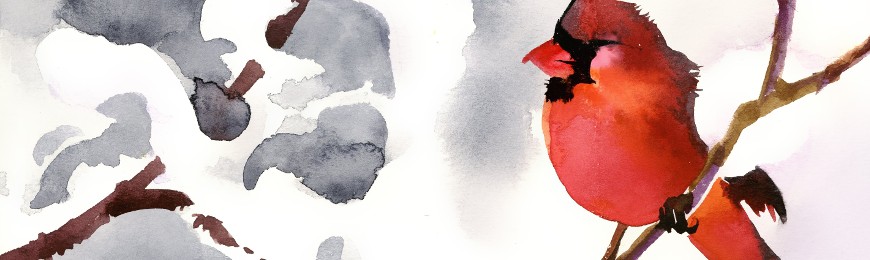 870x260 Bird Art Wall Art Prints