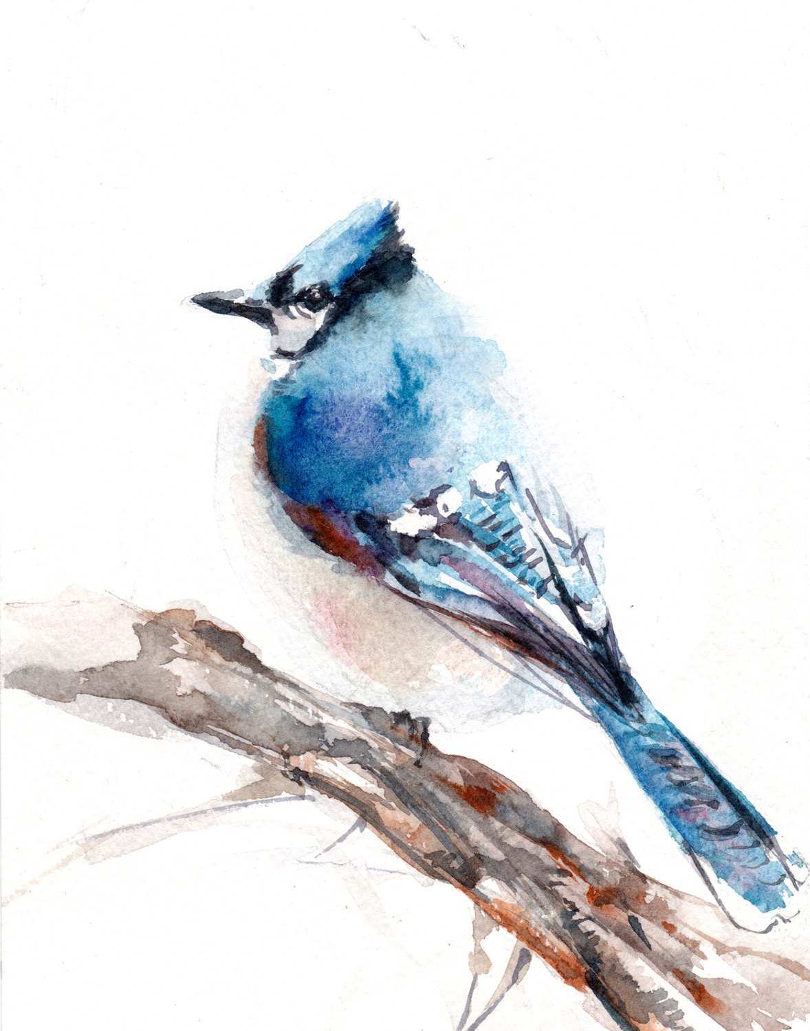1178x1500 Blue Jay Painting Awesome Blue Jay Bird Watercolor Painting Art