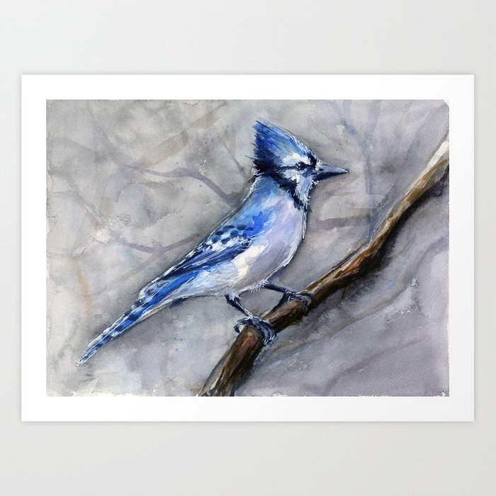 700x700 Blue Jay Watercolor Bird Art Print By Olechka Society6