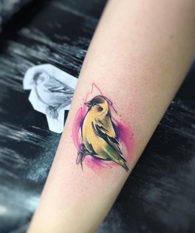 625x746 Watercolor Bird Tattoo
