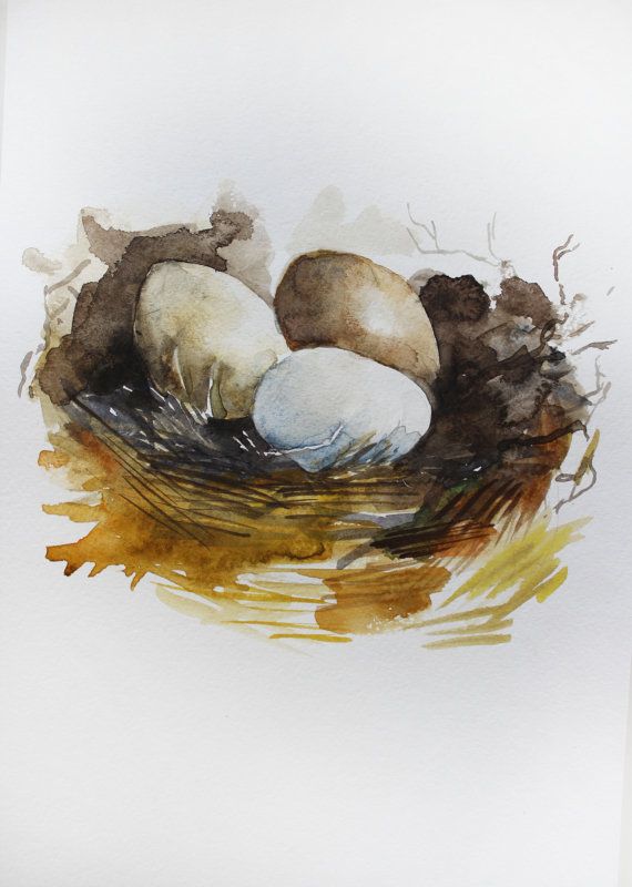570x800 Original Watercolor Nest, Birds Nest Watercolor, Wall Art, Bird