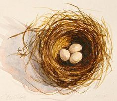 236x204 The 96 Best Birds Images Watercolor Feather