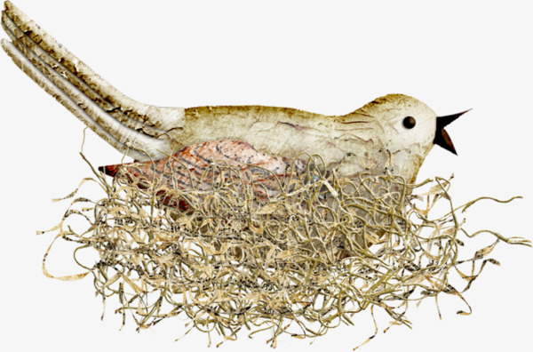 600x396 Watercolor Birds, Watercolor Clipart, Hand Painted, Bird Nest Png