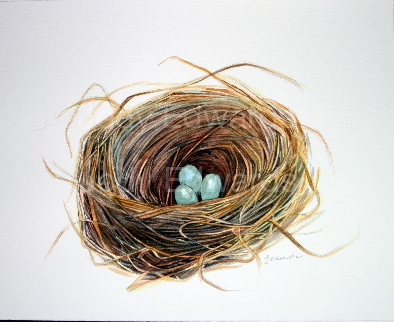1378x1125 Watercolor Birds Nest Painting