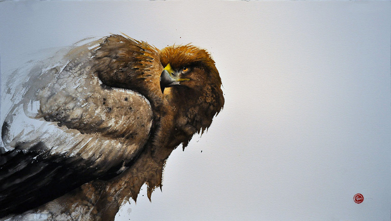 768x434 Karl Martens Watercolor Birds