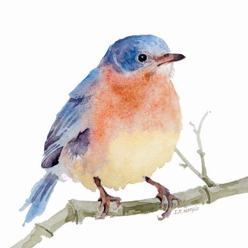 512x512 Pictures Watercolor Tutorial Birds,