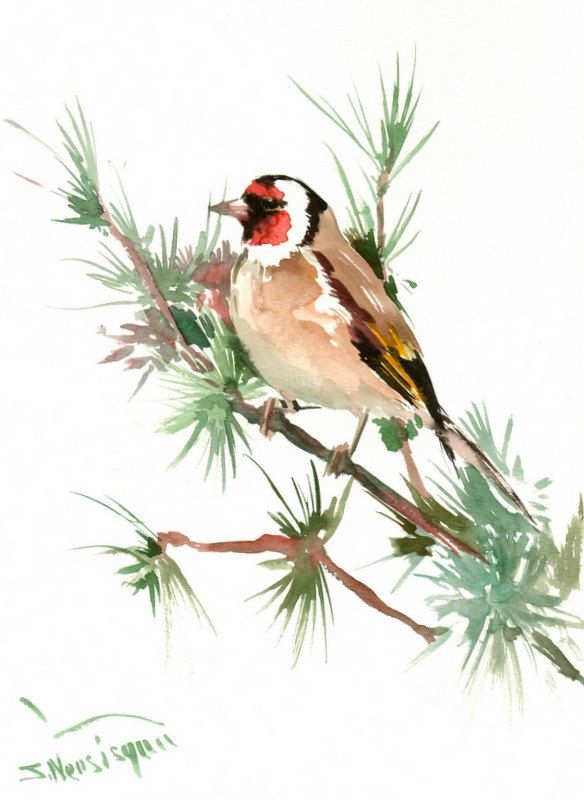 584x800 Simple Watercolor Animals