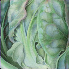 220x220 Susannah Blaxill