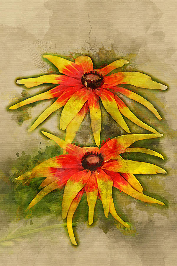 600x900 Black Eyed Susan Watercolor Digital Art By Sgphoto
