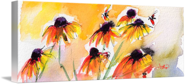 650x296 Flower Panorama Black Eyes Susan Watercolor By Ginette Callaway