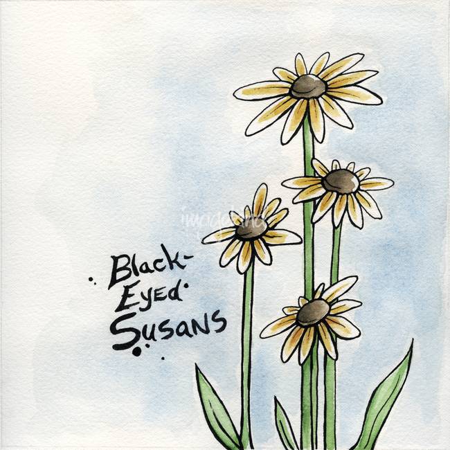 650x650 Stunning Black Eyed Susan Watercolor Painting Reproductions For
