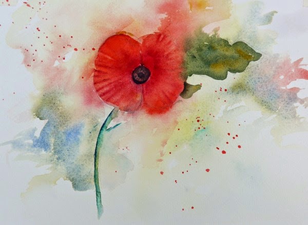 600x439 Watercolours By Polly Birchall Bleeding Poppy