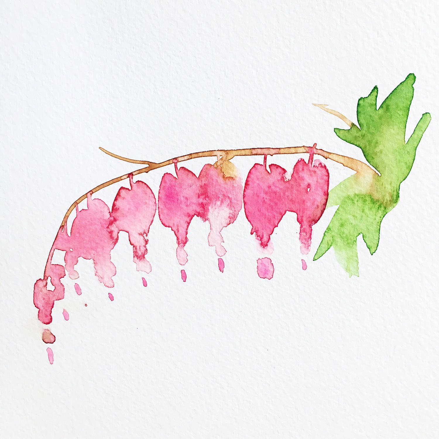 1500x1500 Watercolor Painting Pink Bleeding Hearts