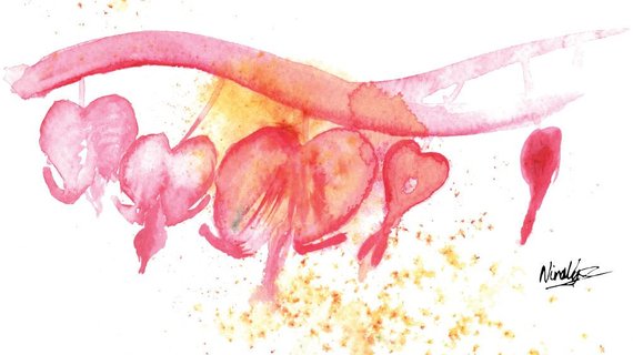 570x320 Watercolor Flower Painting Abstract Watercolor Bleeding Heart