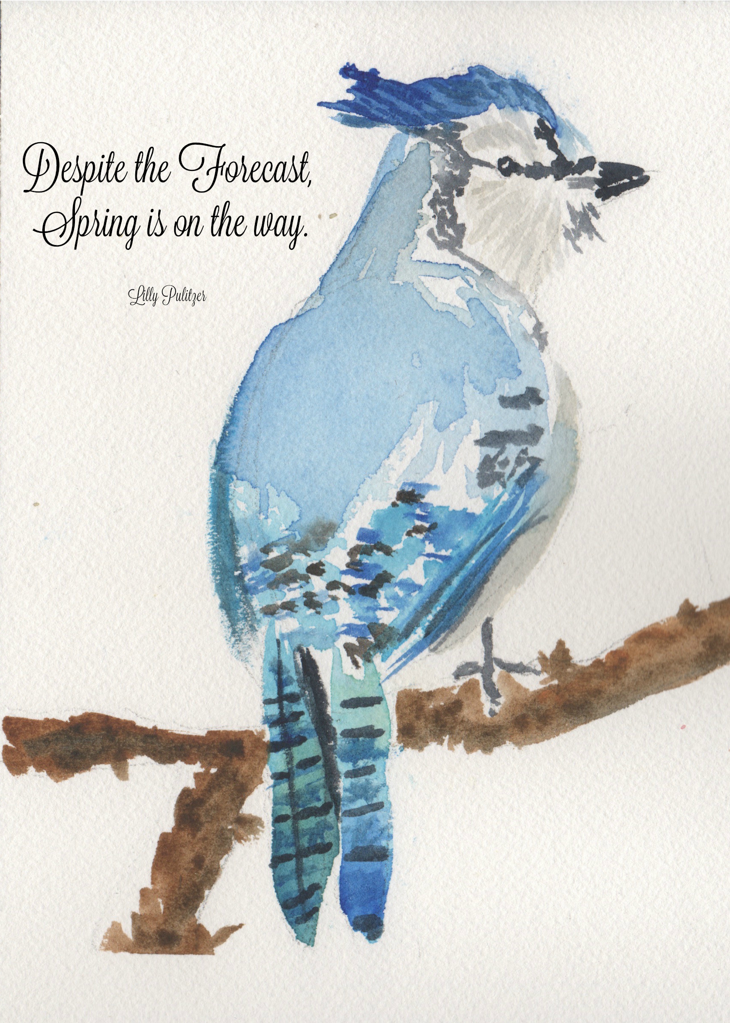 1500x2100 Blue Jay Watercolor Free Printable