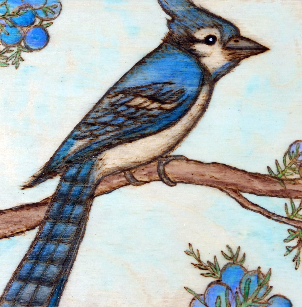 1060x1078 Blue Jay Woodburning And Watercolor Painting Burning Hand Art