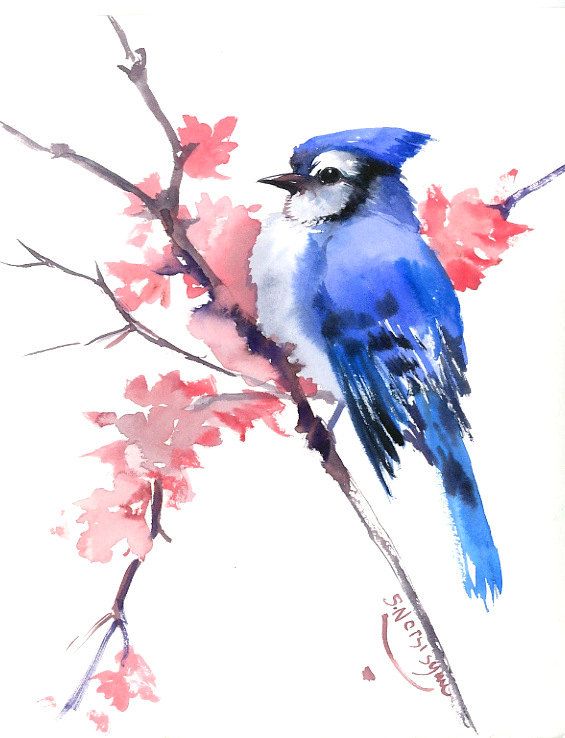 565x738 Blue Jay Original Watercolor Painting 10 X 8 In Blue Hay
