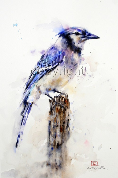 500x750 Blue Jay