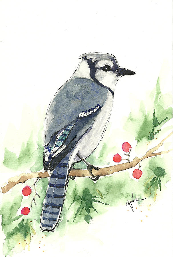 606x900 Christmas Blue Jay Painting By Christine Camp