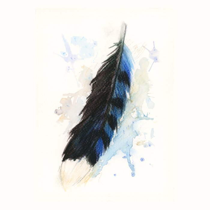 700x700 Watercolor Blue Jay Feather Comforters By Brandywoods Society6