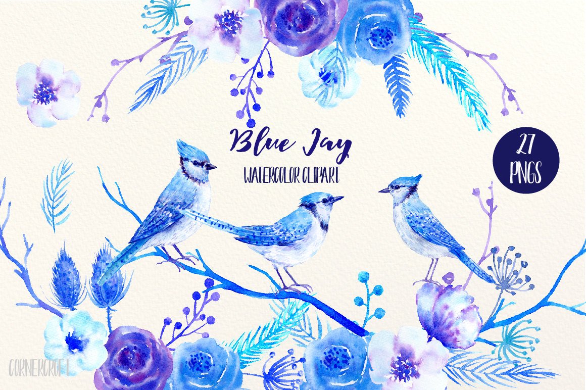 1160x772 Watercolor Clipart Blue Jay
