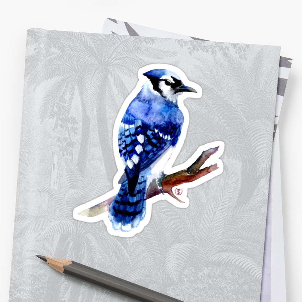1000x1000 Watercolor Blue Jay Stickers By Torysevas Redbubble