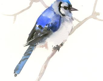 340x270 Blue Jay Artwork One Of A Kind Original Watercolor Painting