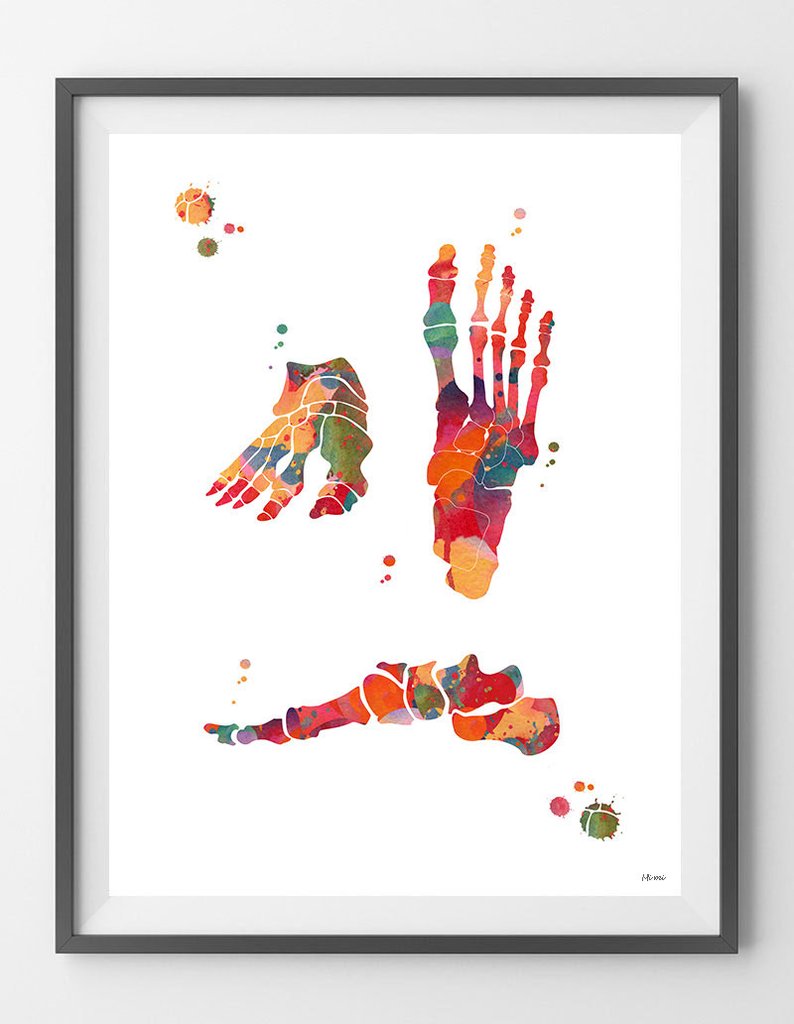 794x1024 Foot Bones Watercolor Print By Mimiprints Mimiprints