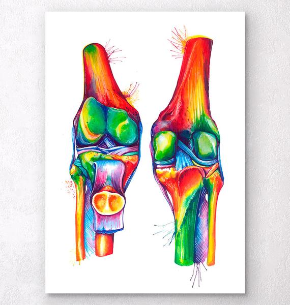 570x600 Skeleton And Bones