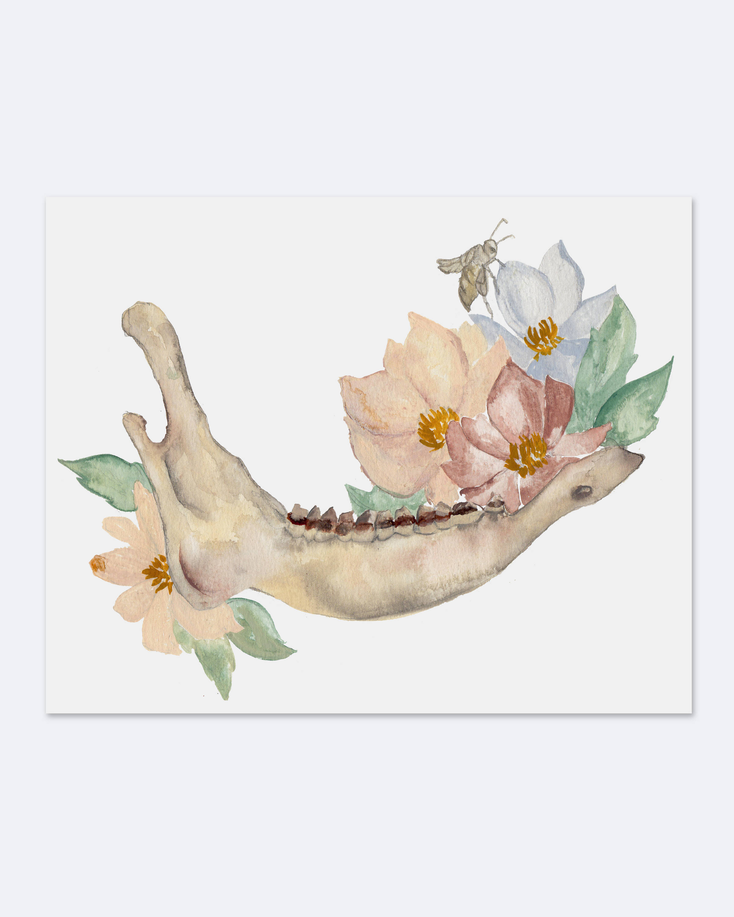 2400x3000 Watercolor Bones Amp Florals Elk Jaw And Muted Flowers Art Etsy
