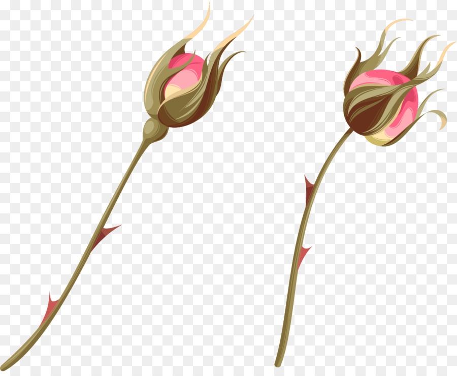 900x740 Beach Rose Petal Watercolor Painting