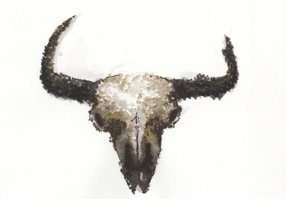 1000x698 Watercolor Jake Wincek