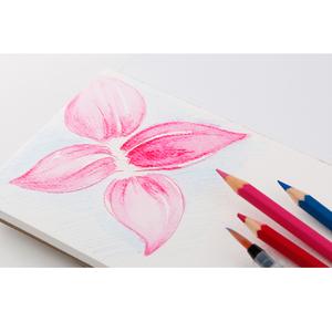 300x300 Professional Watercolor Book Owl Art Supplies