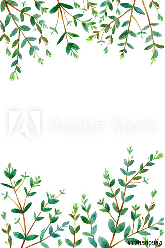 334x500 Frame With Eucalyptus Branches.green Floral Border.postcard