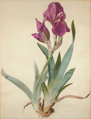 307x400 George Glazer Gallery