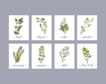 340x270 Herb Printable Set Of 8 Rustic Kitchen Decor Watercolor Etsy
