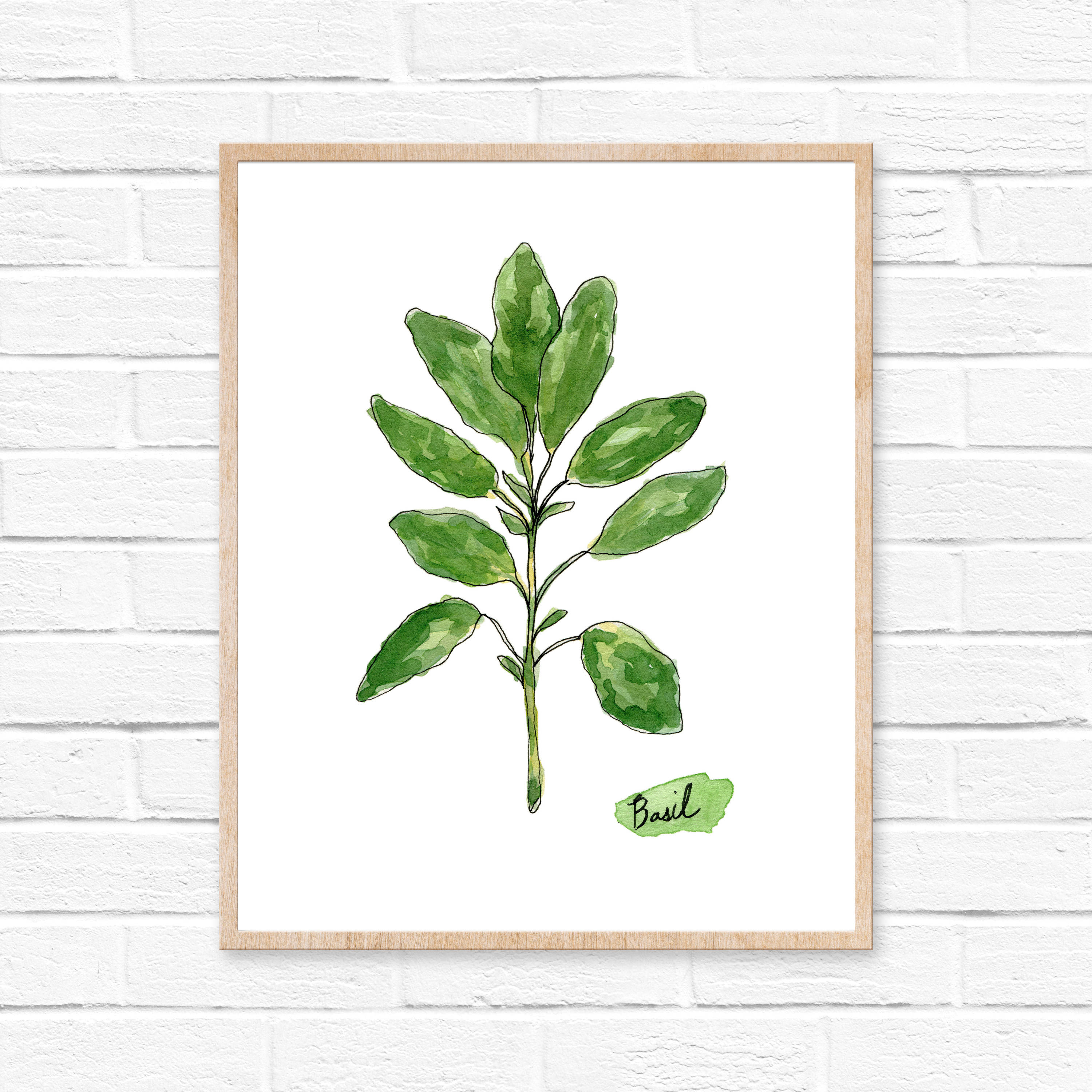 3000x3000 Herb Watercolor Prints Herb Print Set Botanical Prints Giclee Herb