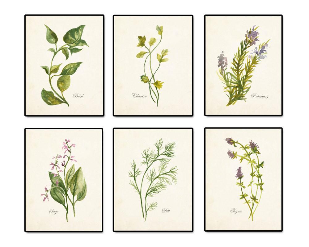 1000x800 Watercolor Herbs Print Set 2