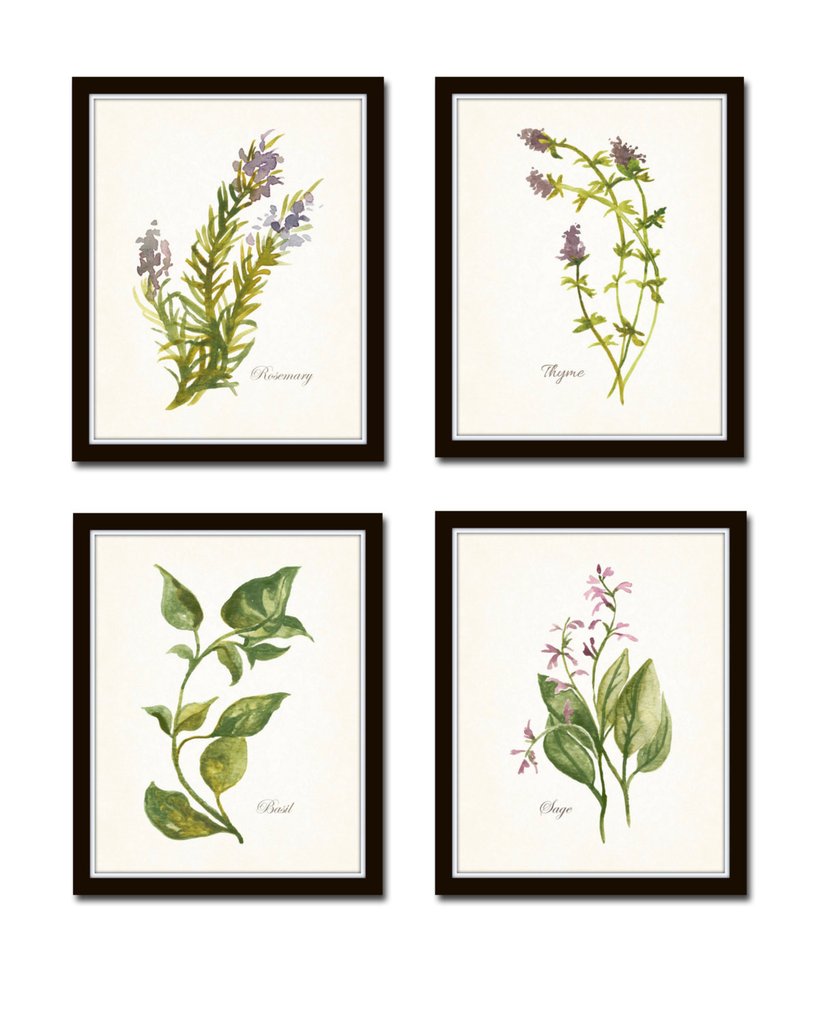 819x1024 Watercolor Herbs Print Set No. 6 Bellebotanica