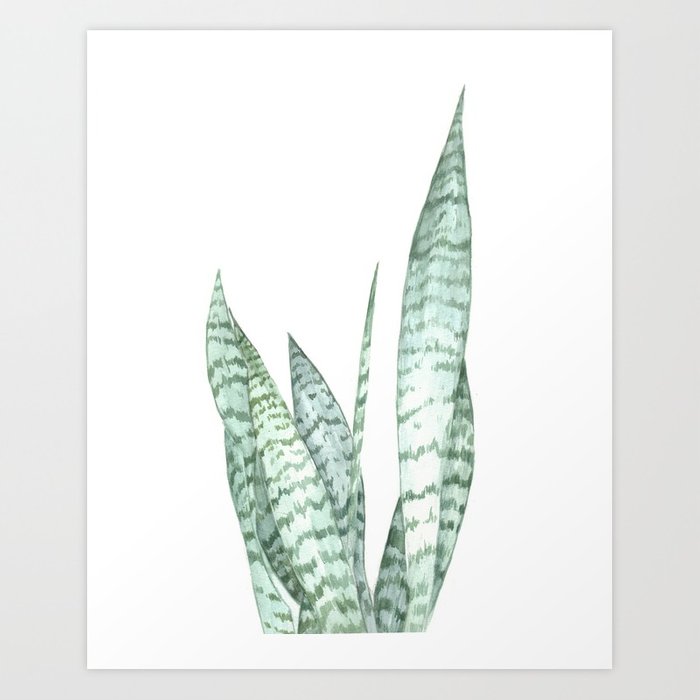 700x700 Watercolor Botanical Print Art Print By Lelemilojevic Society6